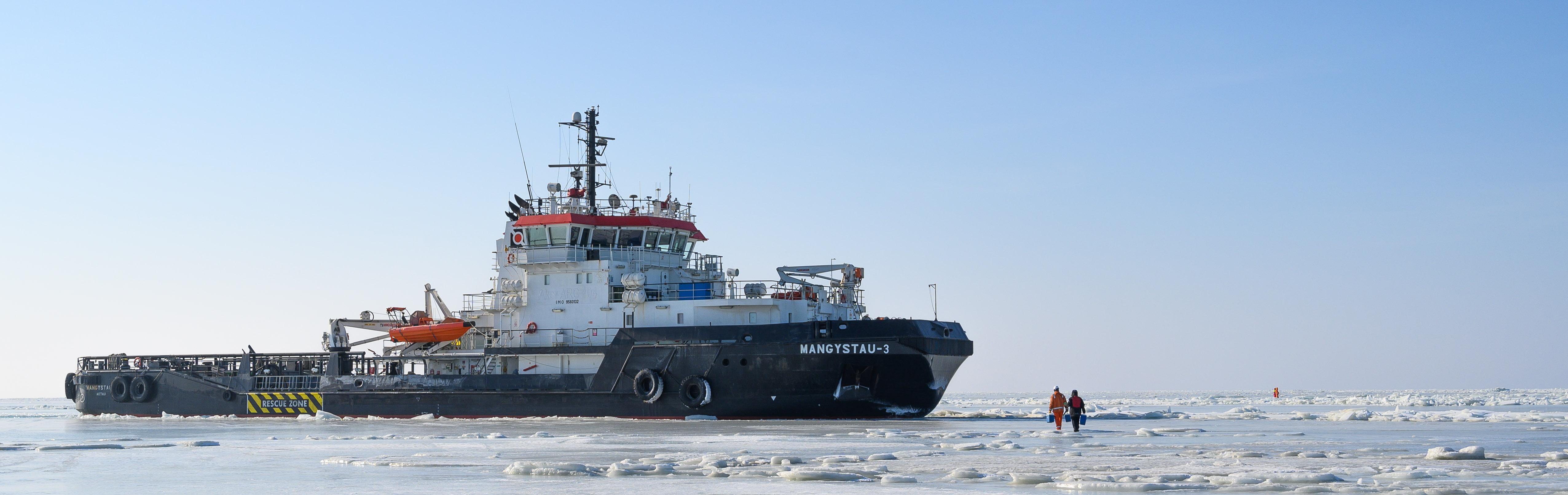 Taking samples from Caspian seals in 2022